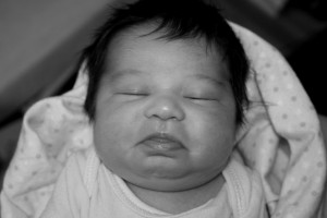 img_7541 img_7541