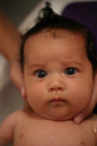 IMG_9290 IMG_9290