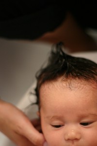 IMG_9292 IMG_9292