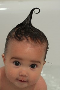 IMG_0480 IMG_0480