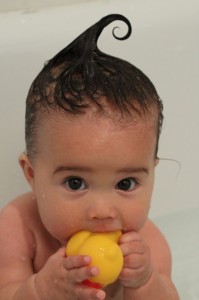 IMG_0494 IMG_0494